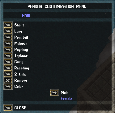 Vendor customize settings for male/female, hair style, hair color.