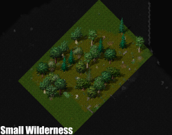 Small Wilderness