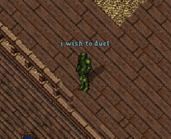 I Wish To Duel