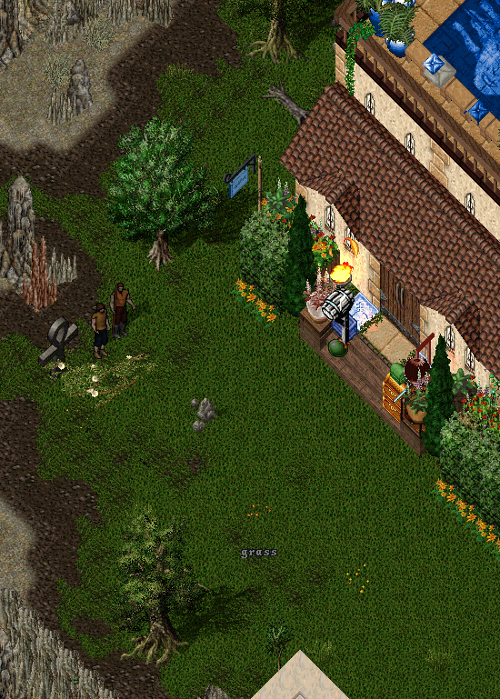 Ultima Online Cave and Island House